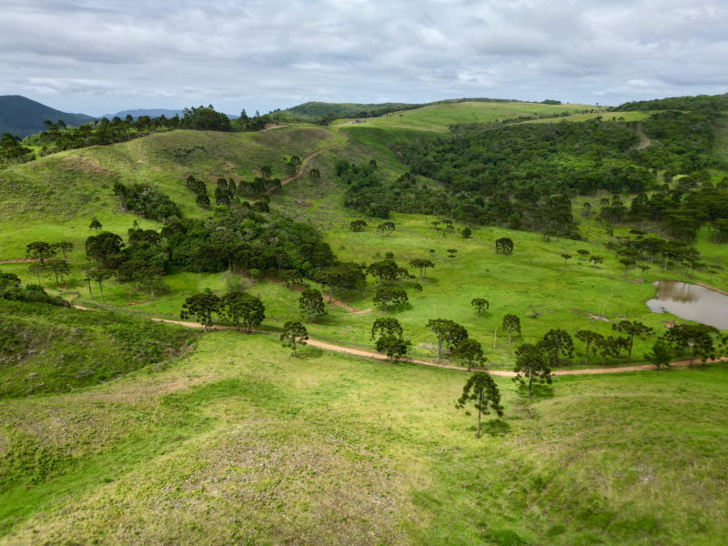 Fazenda de 445 Hectares em Riozinho