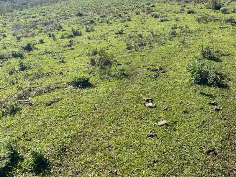 Fazenda com 715 Hectares em Santana do Livramento