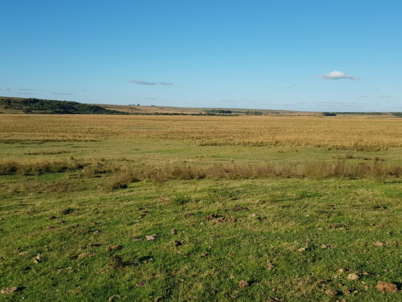 Fazenda com 759 Hectares em Rosário do Sul