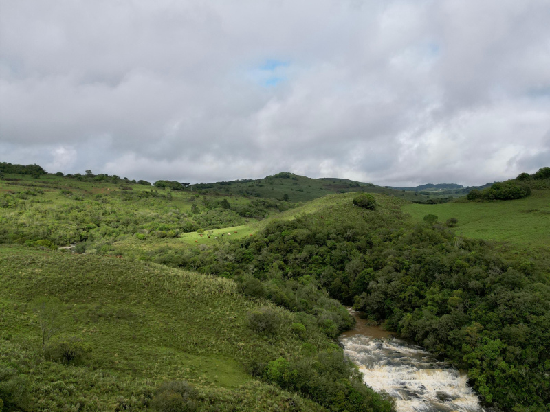 Área de 91 Hectares em Vacaria