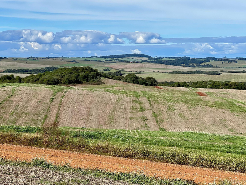 103 Hectares em Muitos Capões