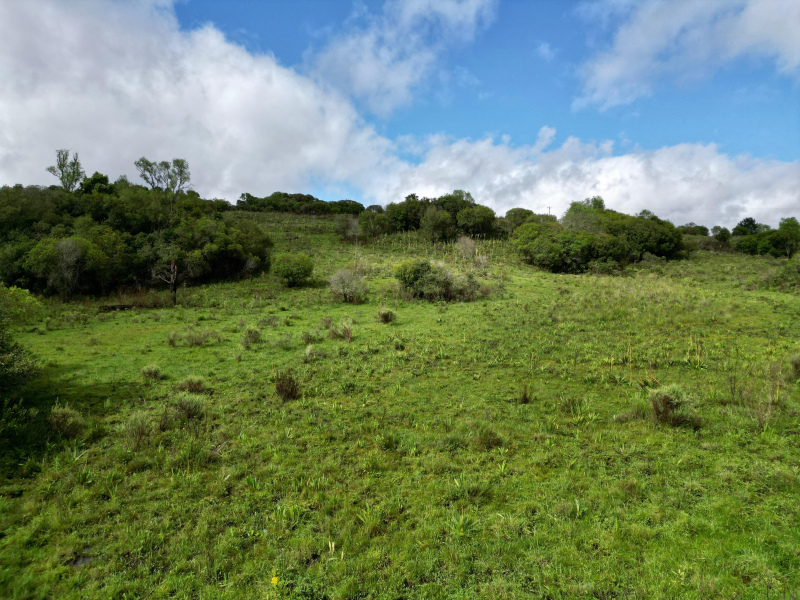 Área de 91 Hectares em Vacaria