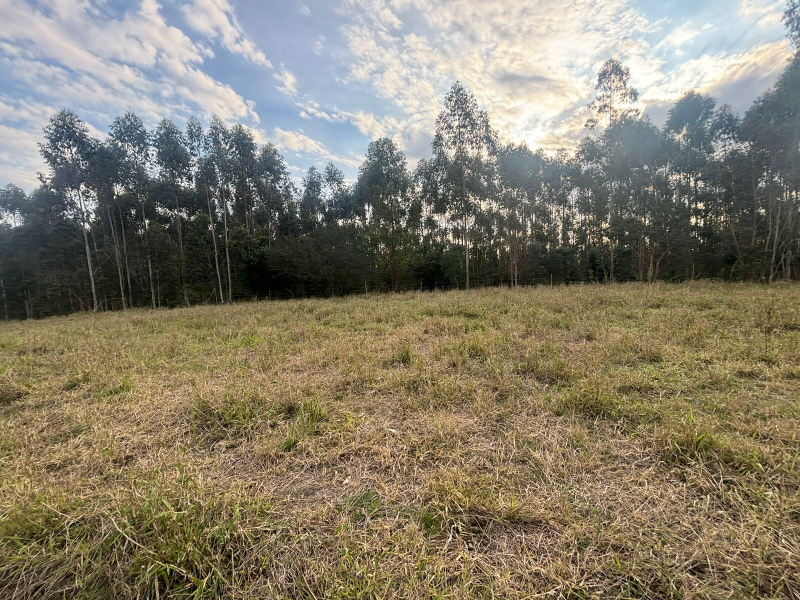 56,33 Hectares na Barra do Ribeiro/Rs