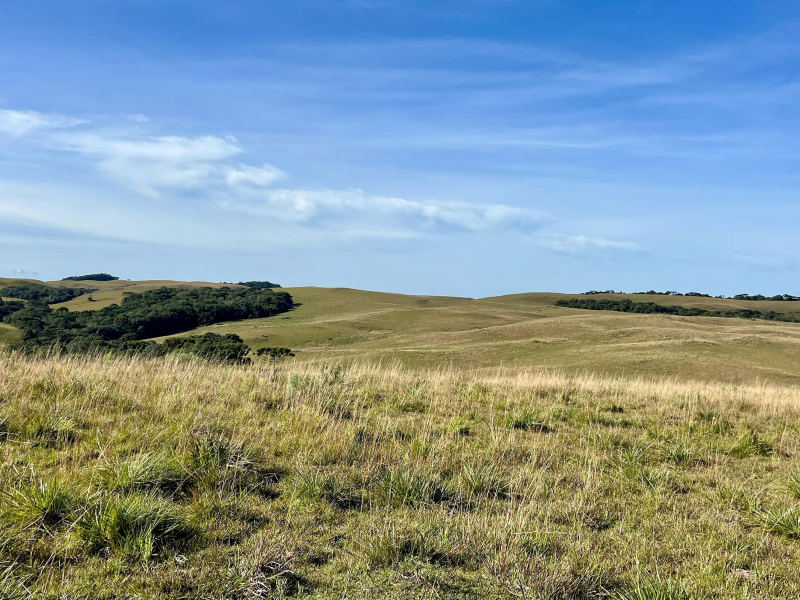 Fazenda com 425 Hectares em Caxias do Sul
