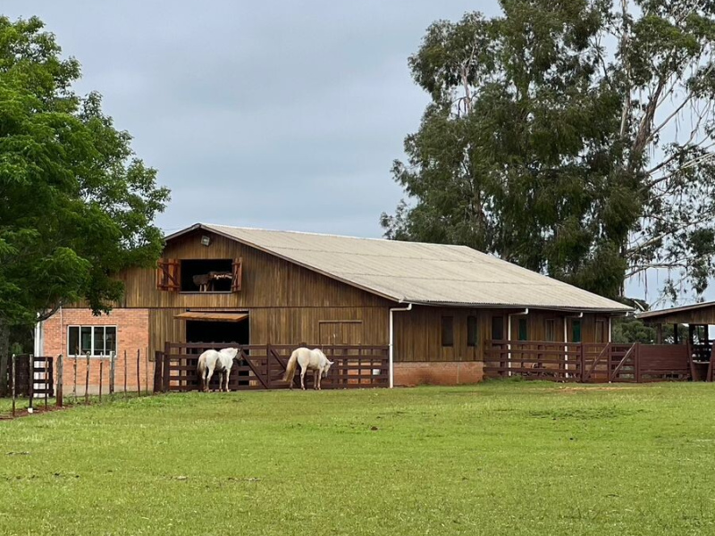Cabanha com 61 Hectares em Muitos Capões