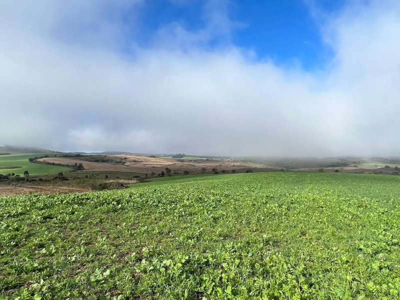 Fazenda com 1.590 Hectares em Santa Catarina