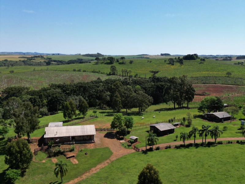 Cabanha com 61 Hectares em Muitos Capões