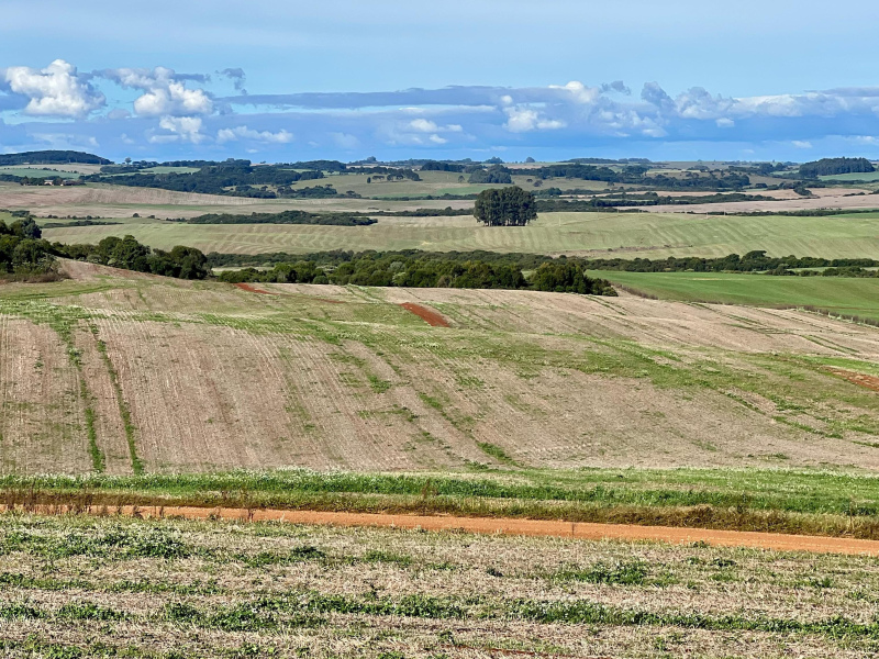 103 Hectares em Muitos Capões