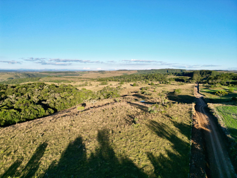 Área de 450 Hectares em Jaquirana