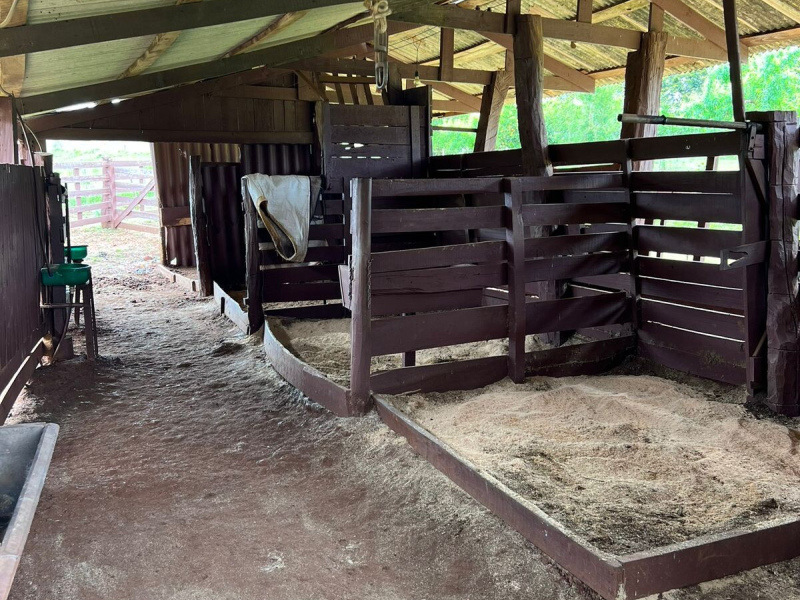 Cabanha com 61 Hectares em Muitos Capões