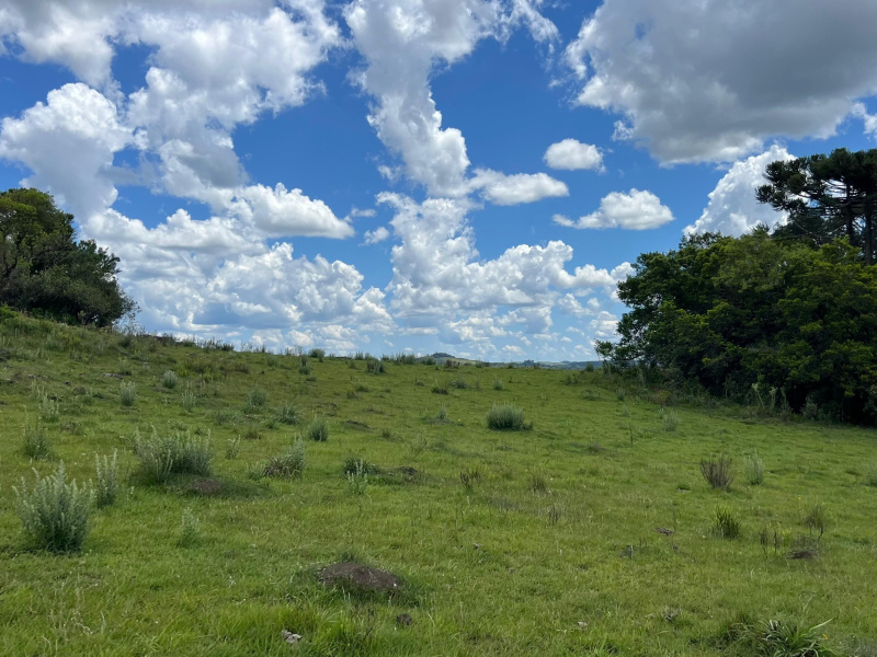 Área de 306 Hectares em Cazuza Ferreira