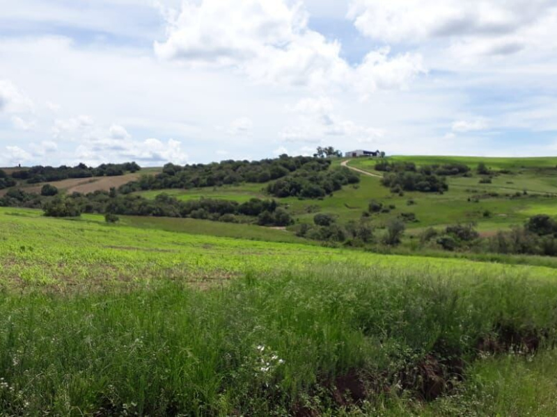 903 Hectares em Piratini/Rs