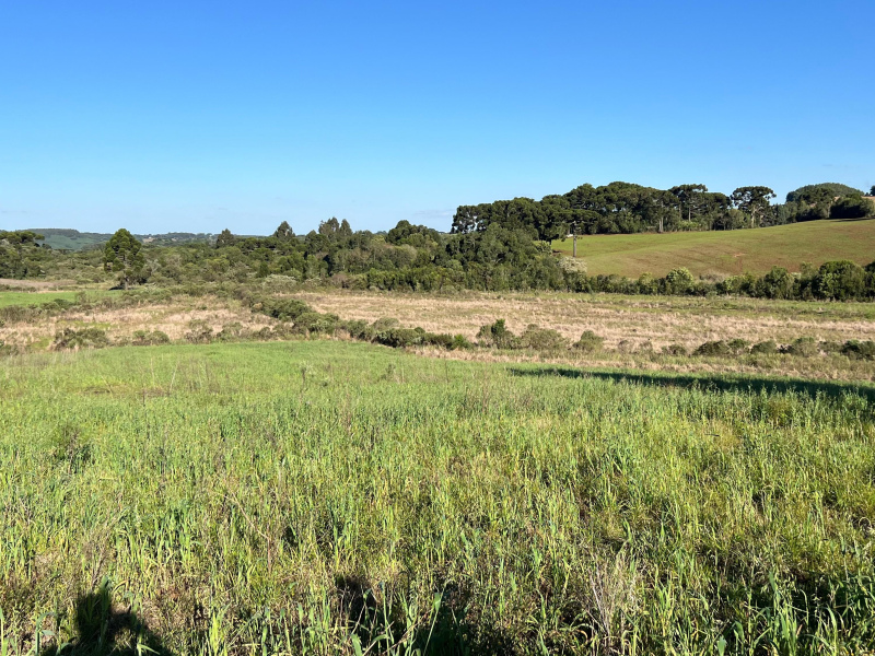 Área com 15,5 Hectares em Vacaria