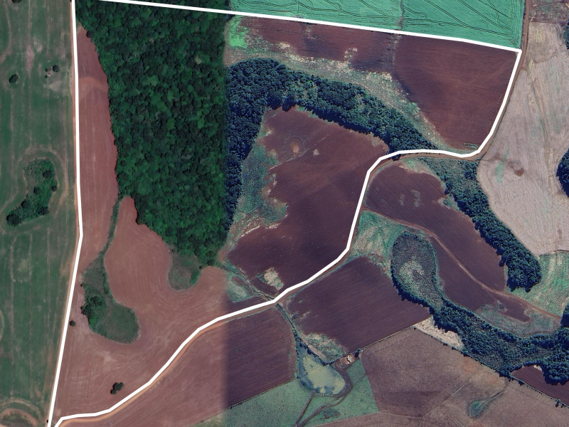 103 Hectares em Muitos Capões