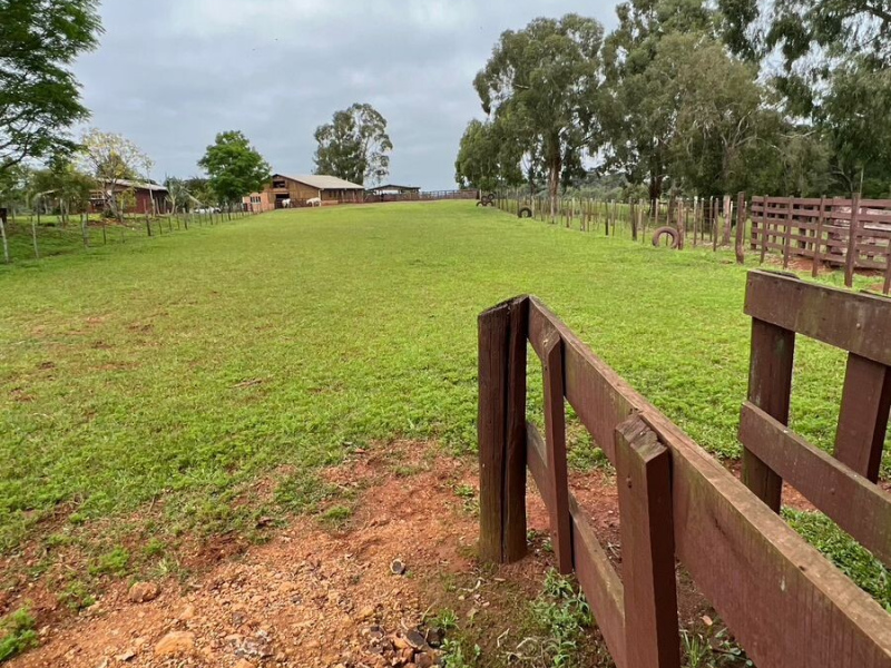Cabanha com 61 Hectares em Muitos Capões