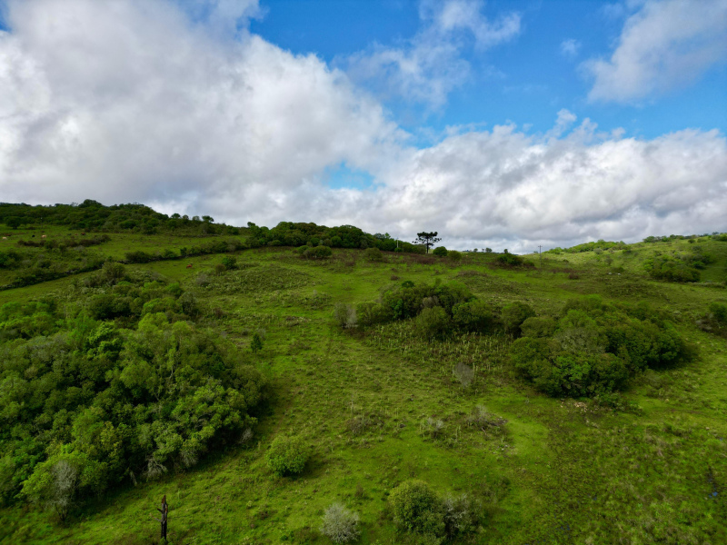 Área de 91 Hectares em Vacaria