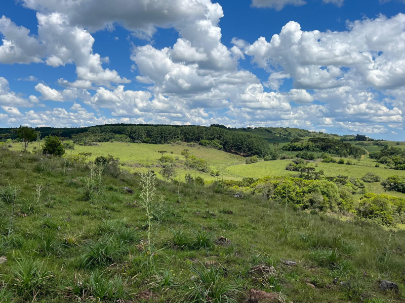Área de 306 Hectares em Cazuza Ferreira