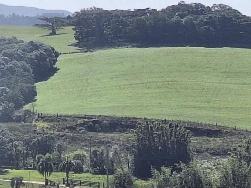 82 Hectares próximo a Porto Alegre 