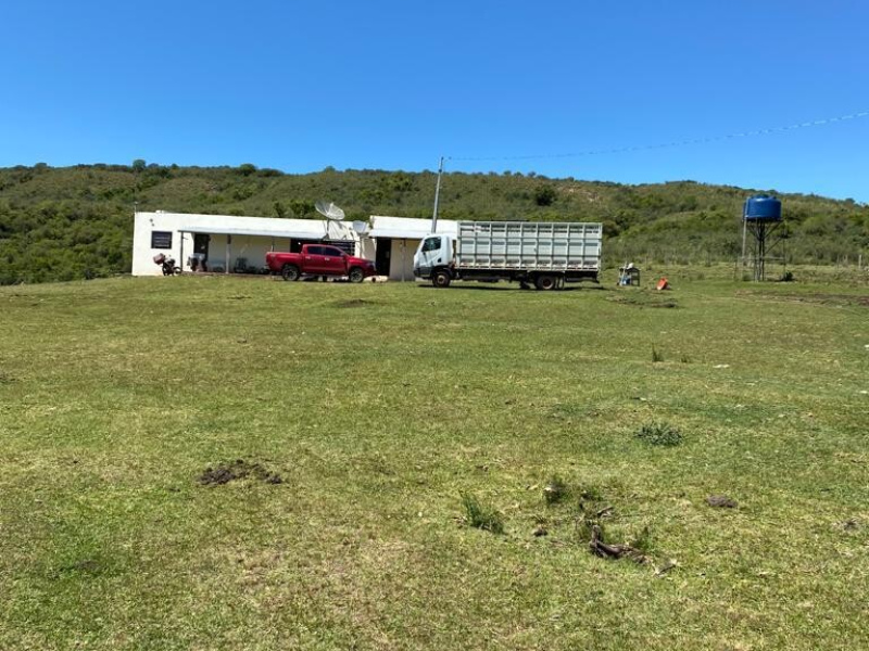 Fazenda com 715 Hectares em Santana do Livramento