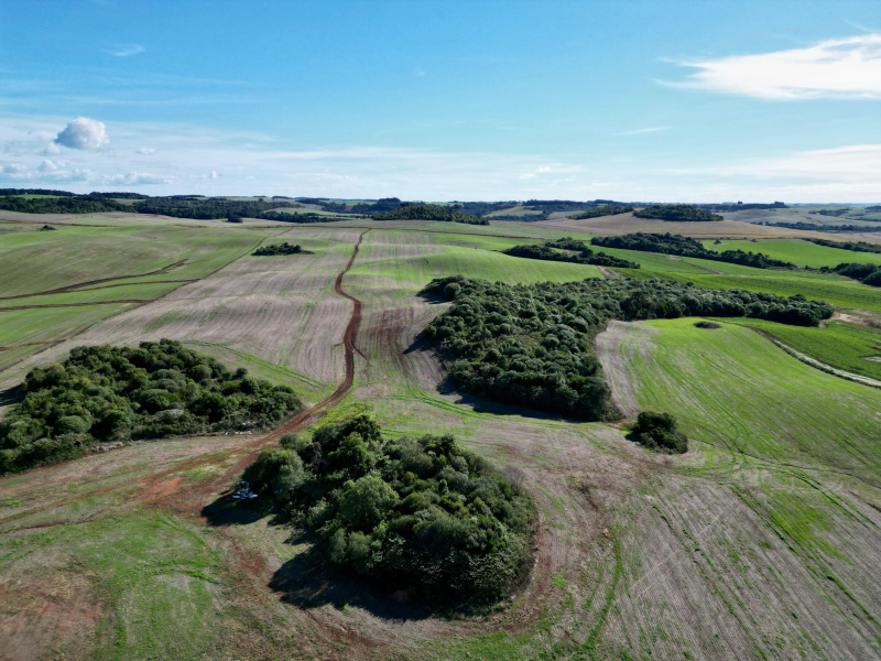 103 Hectares em Muitos Capões