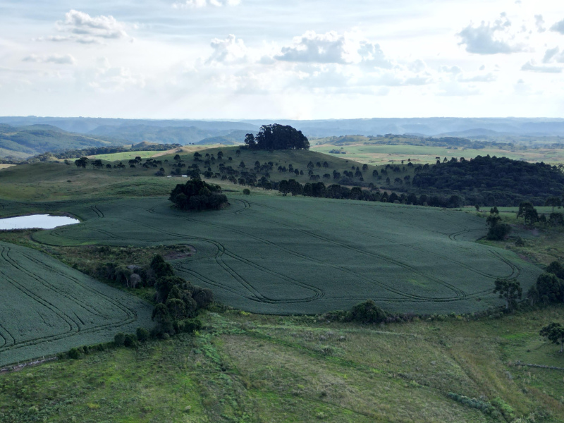 Fazenda com 1.590 Hectares em Santa Catarina