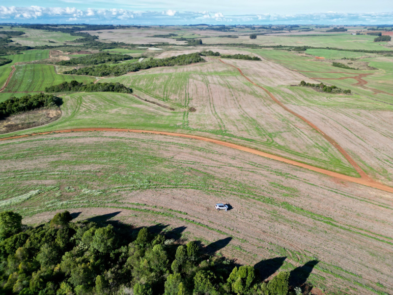 103 Hectares em Muitos Capões
