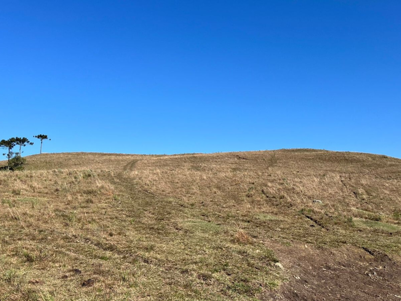 Fazenda com 223 Hectares em São Francisco de Paula