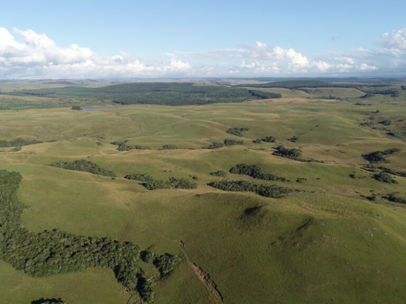 Fazenda com 910 Hectares em Jaquirana