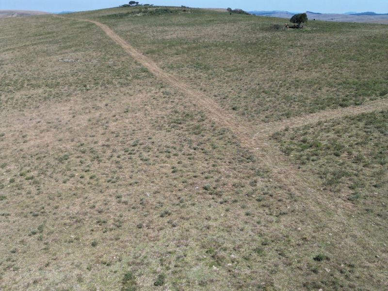 282 Hectares em Bom Jardim da Serra/SC