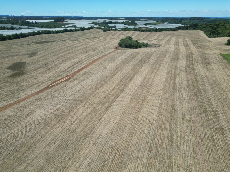 Área com 53 Hectares em Vacaria