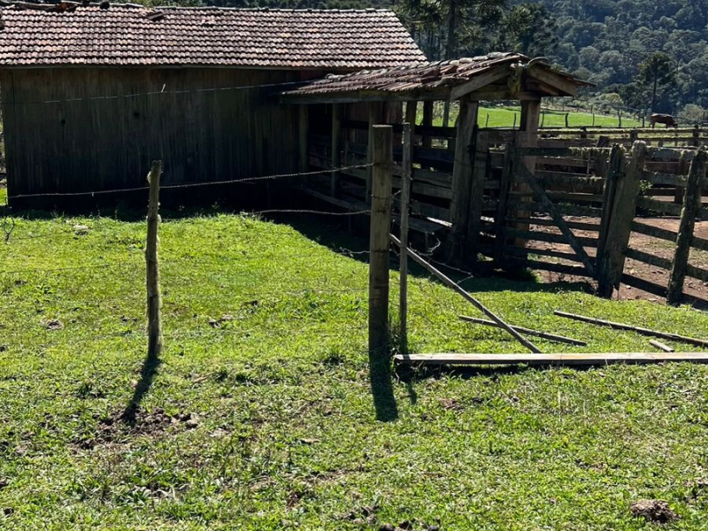 282 Hectares em Bom Jardim da Serra/SC