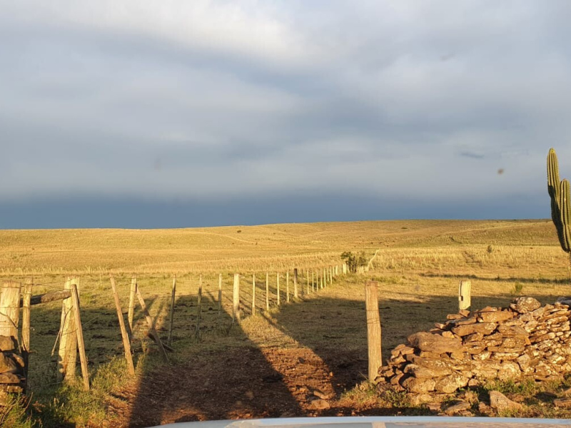 Fazenda com 759 Hectares em Rosário do Sul