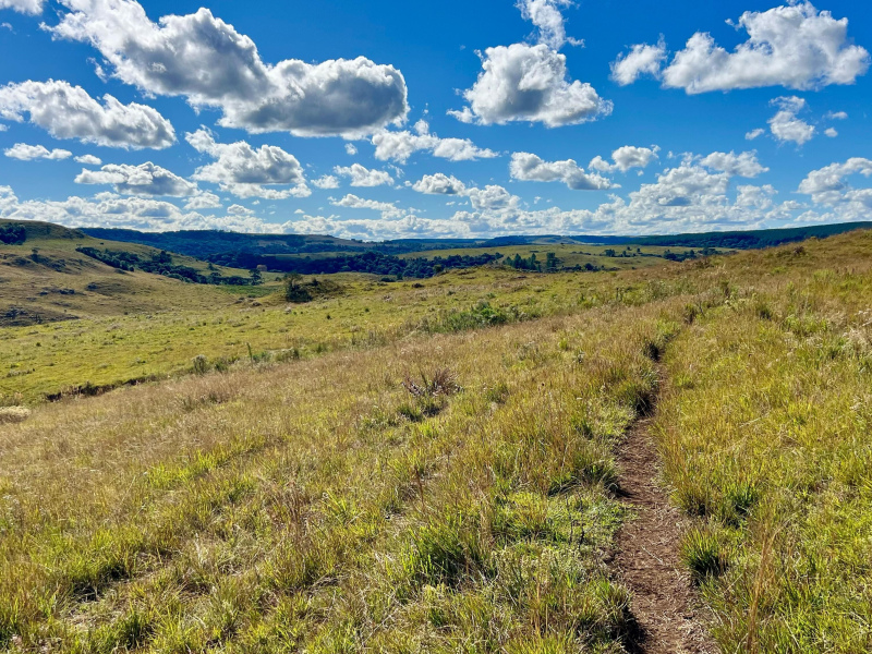Fazenda com 277 Hectares em São Francisco de Paula