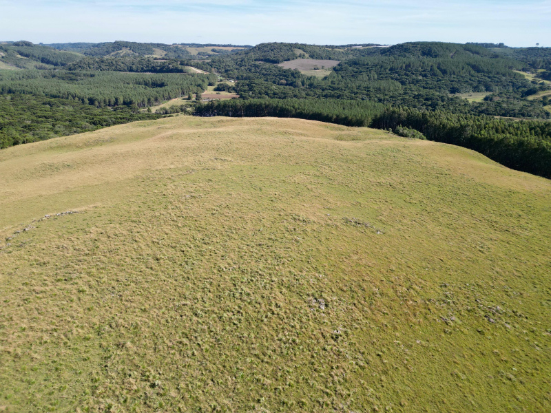 Fazenda com 425 Hectares em Caxias do Sul