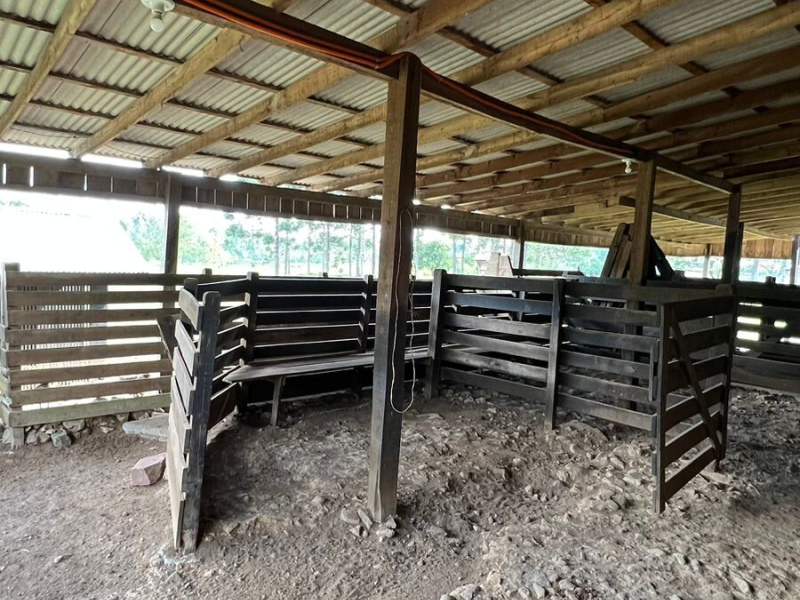 Chácara com 04 Hectares em Gramado