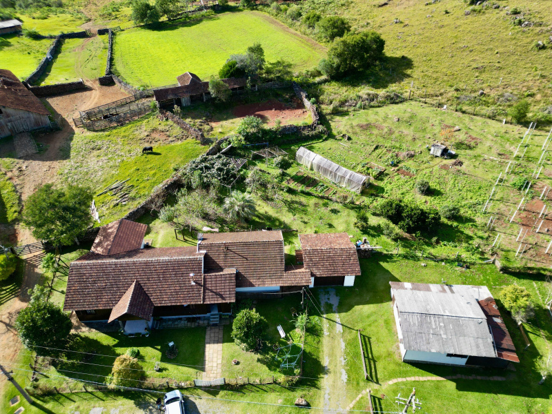 Fazenda com 277 Hectares em São Francisco de Paula