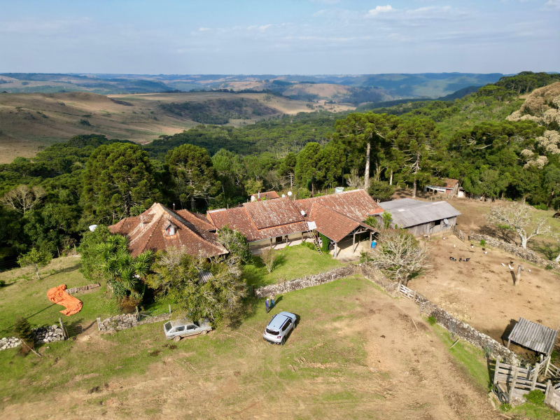 Fazenda com 223 Hectares em São Francisco de Paula