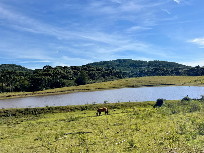 Fazenda com 425 Hectares em Caxias do Sul