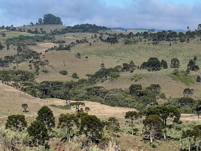 Fazenda com 1.590 Hectares em Santa Catarina