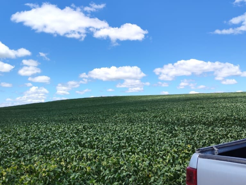 320 Hectares em Aceguá/Rs