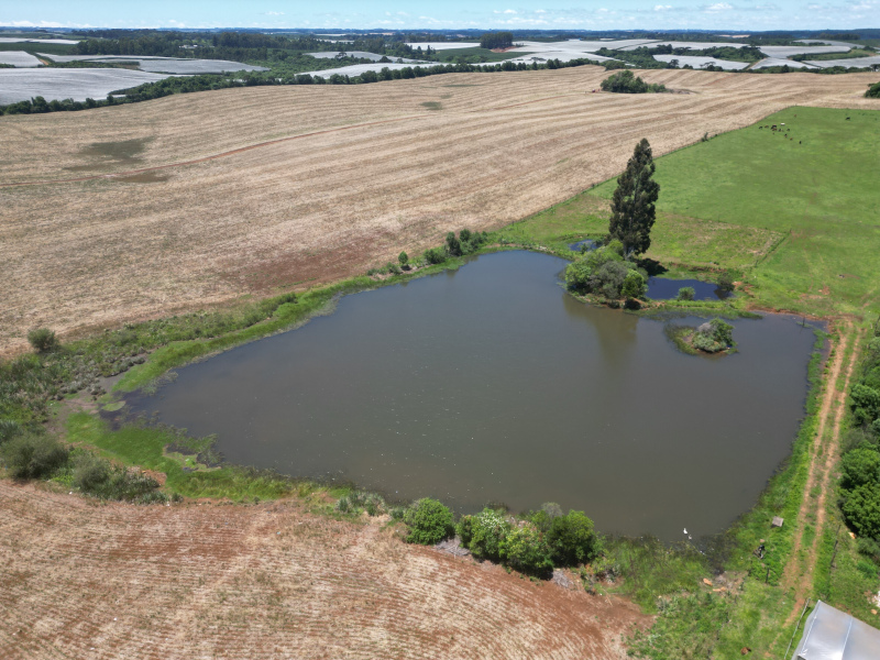Área com 53 Hectares em Vacaria