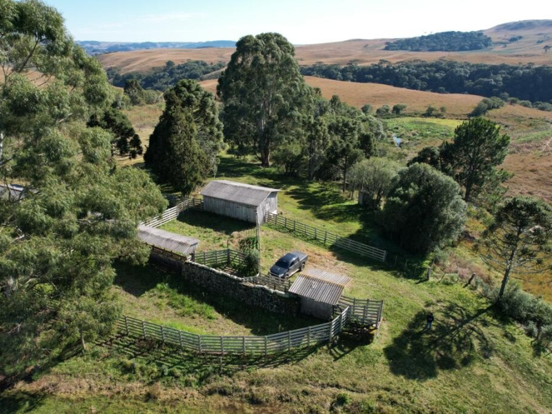 Fazenda com 910 Hectares em Jaquirana