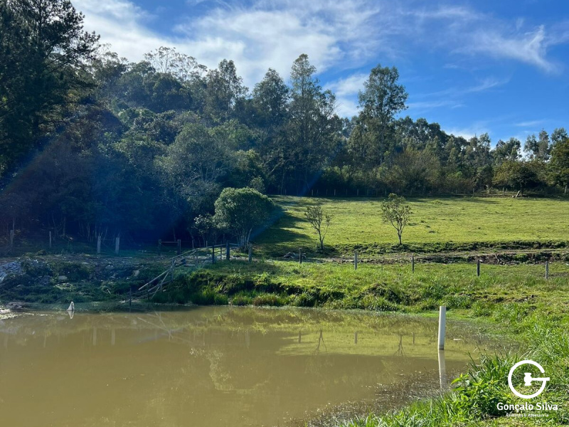 Sítio com 42 Hectares em Campo Bom