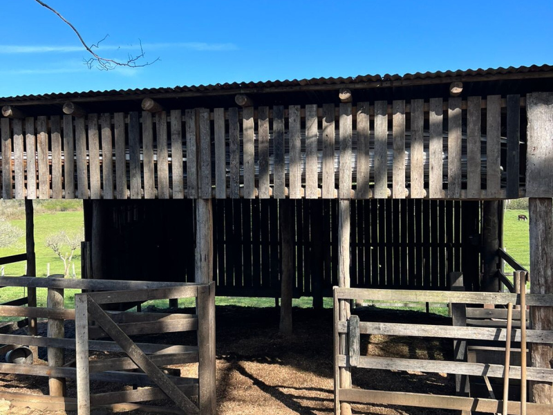 Sítio com 42 Hectares em Campo Bom