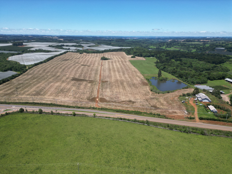 Área com 53 Hectares em Vacaria
