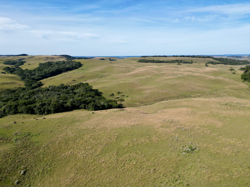 Fazenda com 425 Hectares em Caxias do Sul