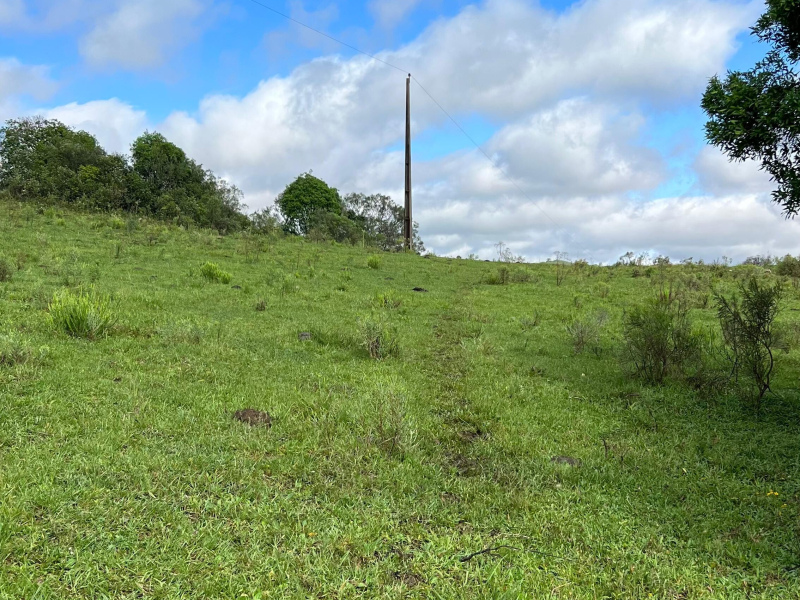 Área de 91 Hectares em Vacaria