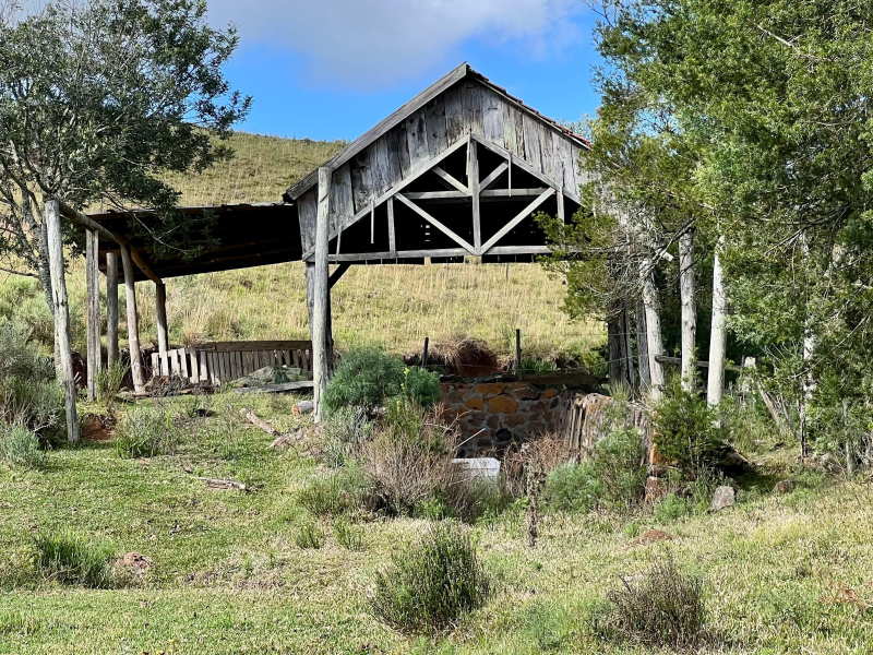 Fazenda com 277 Hectares em São Francisco de Paula