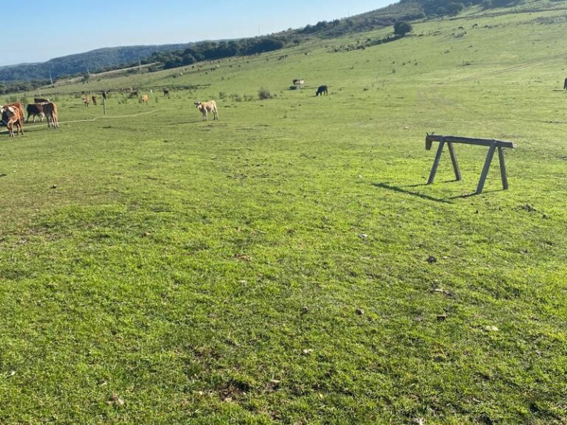 Fazenda com 715 Hectares em Santana do Livramento