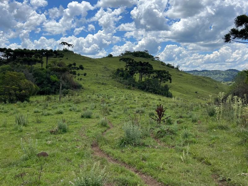 Área de 306 Hectares em Cazuza Ferreira